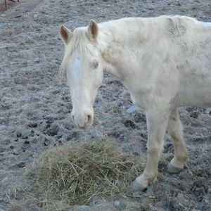 Meet your Posher, Cathy